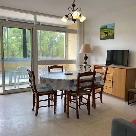 T2 Lumineux Avec Loggia Fermee, Proche Des Thermes, Parking, Wifi - - Fr-1-553-184 Balaruc-les-Bains